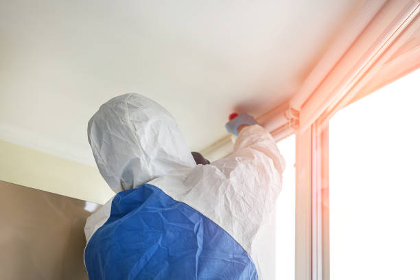 Best Asbestos and Lead Testing During Mold Inspection in USA